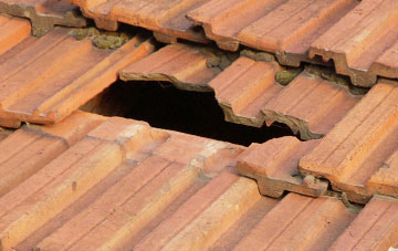 roof repair Wester Essenside, Scottish Borders